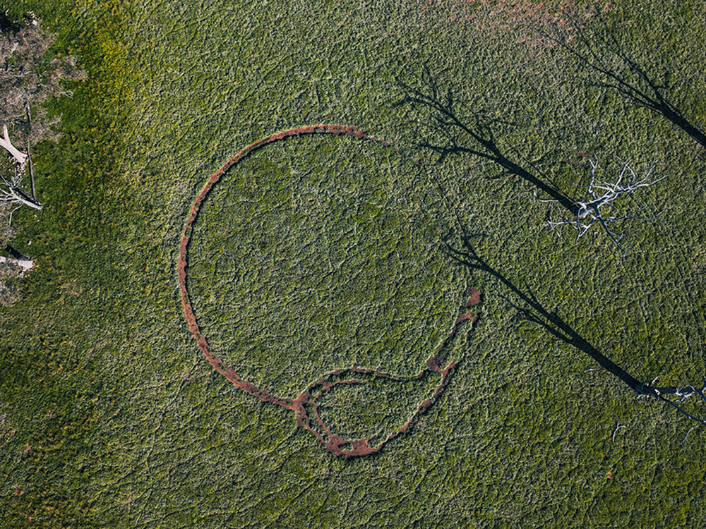 Earth Ouroboros