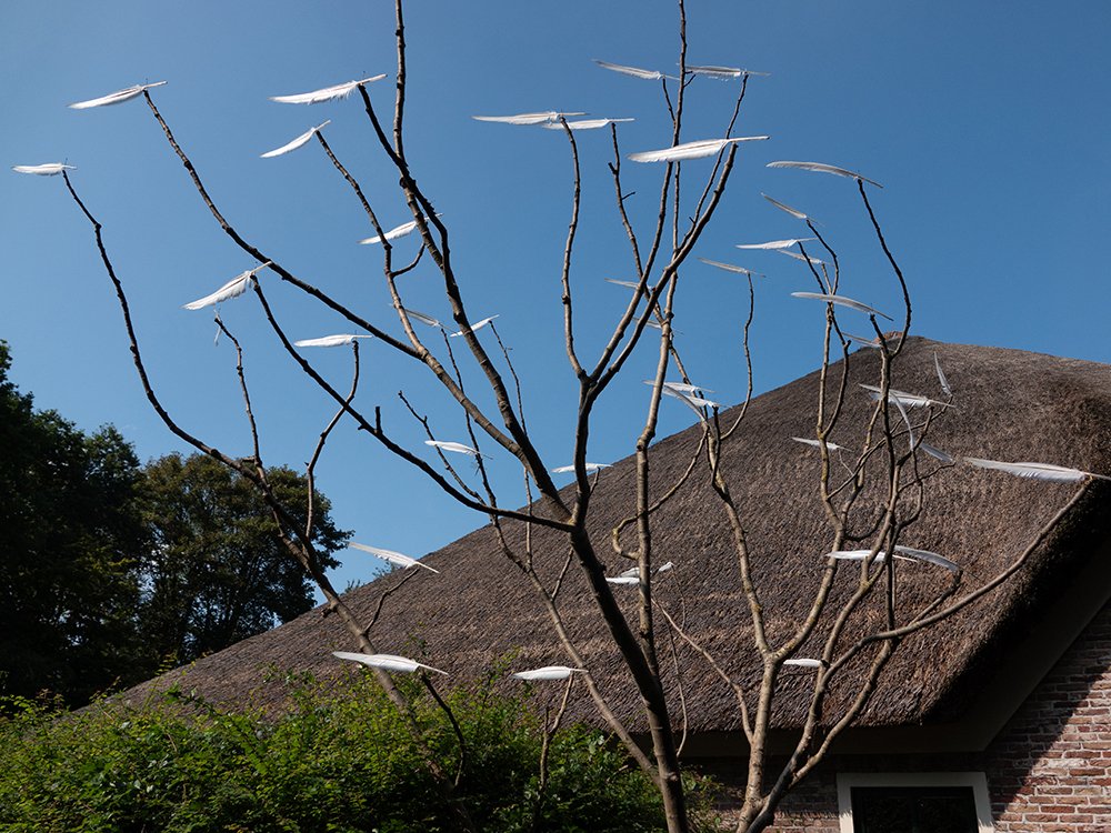 Swarm