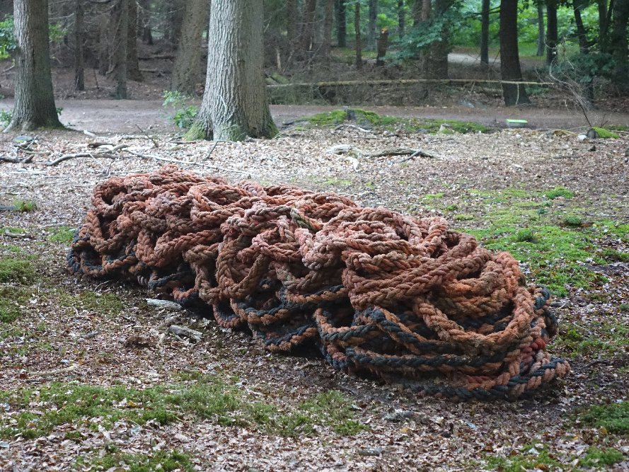 Coils