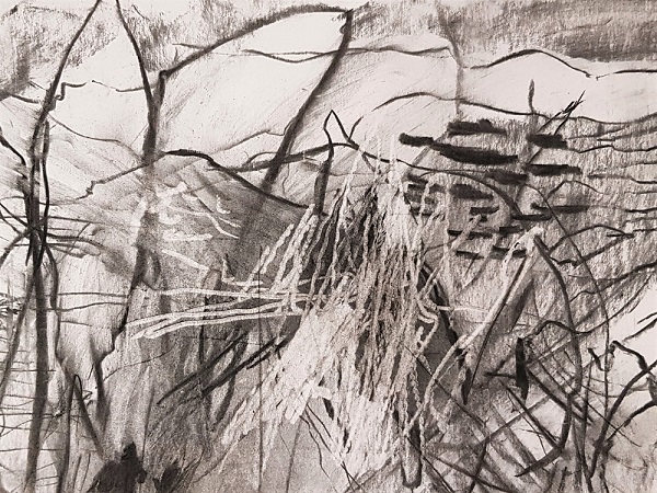 Landscape en Plein Air Lakeland
