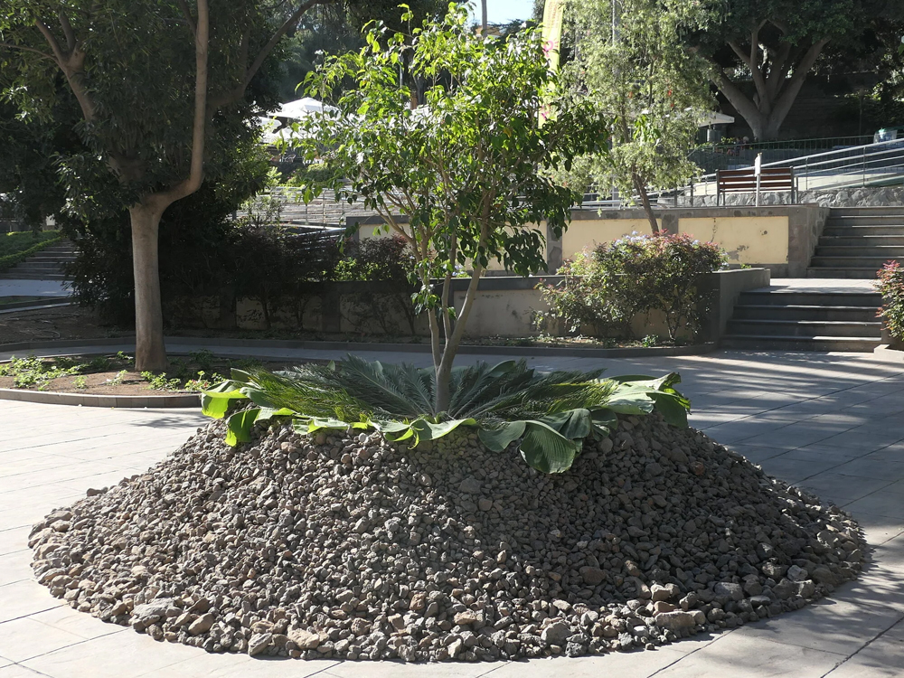 Dew Catcher Microclimate