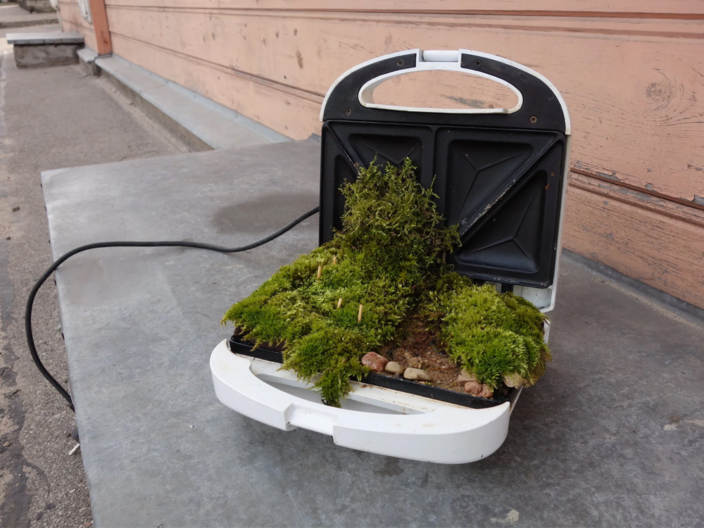 Microclimates Take Over