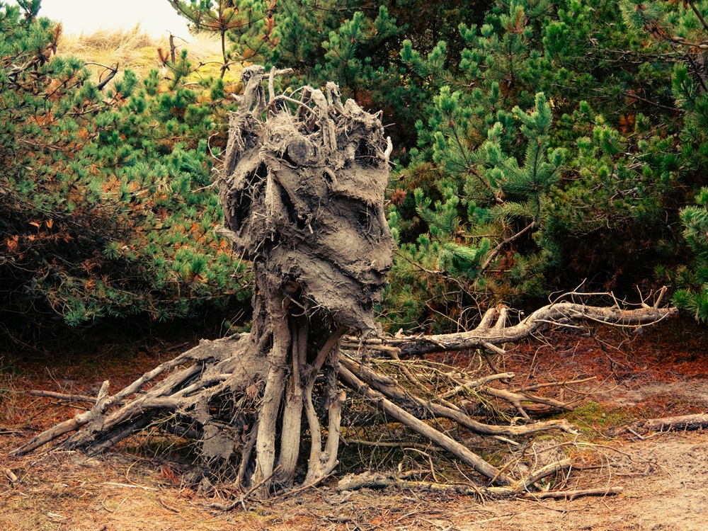 La Condition Arborescence