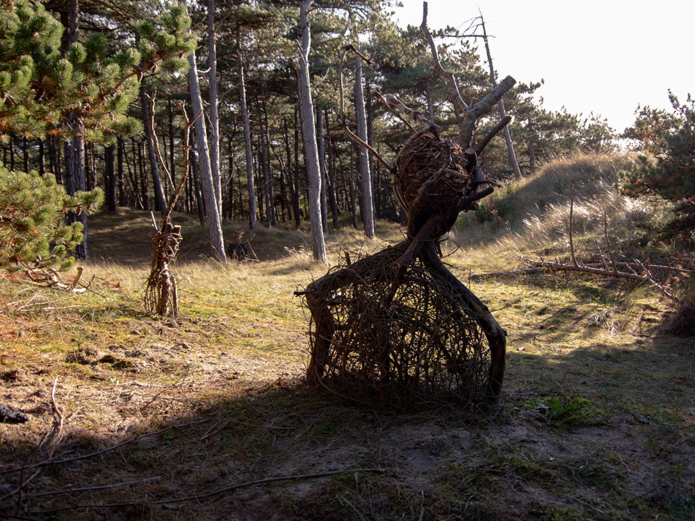 La Condition Arborescence (process photo)